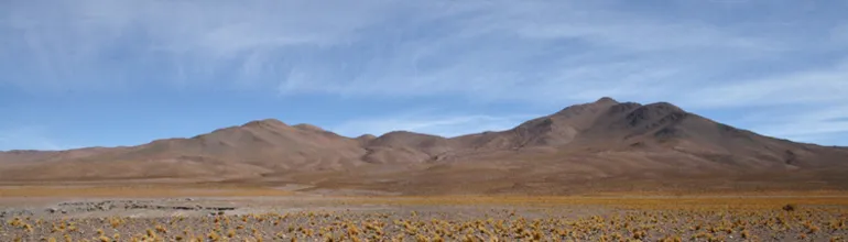 Cabuza