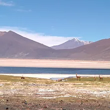Quechua