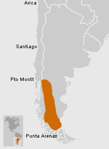 Ubicación de Tehuelche