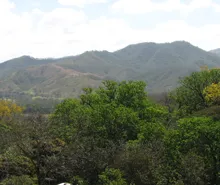 Línea Vieja – Huétar