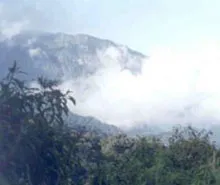 Ciénaga