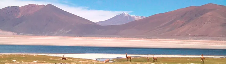 Quechua