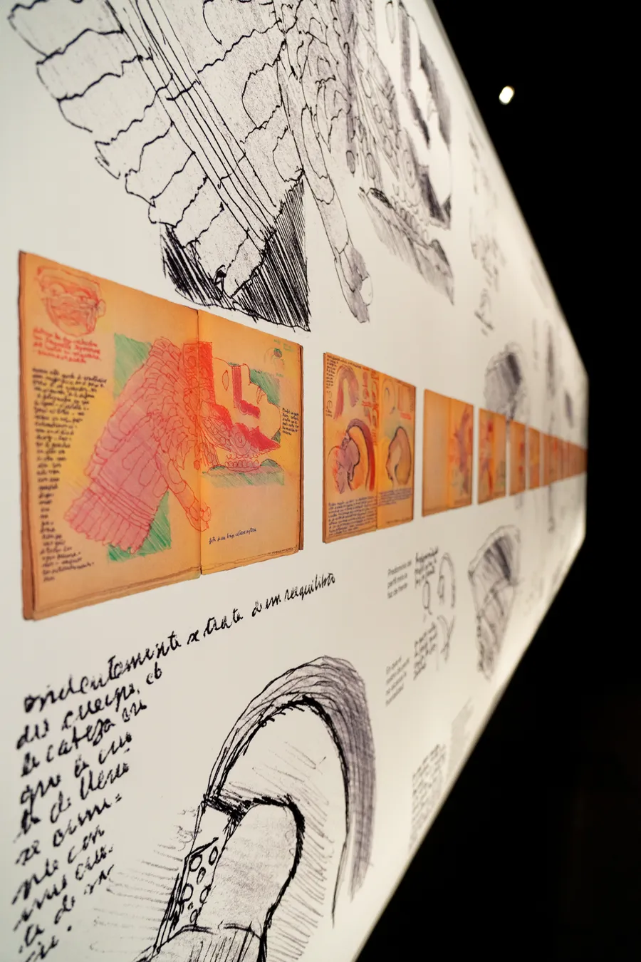 Forografía muestra Alberto Cruz