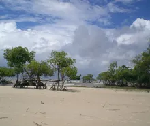Amazonas