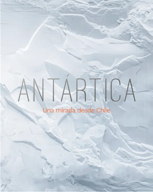Antártica, Una mirada desde Chile