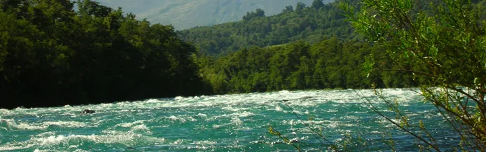 Pitrén