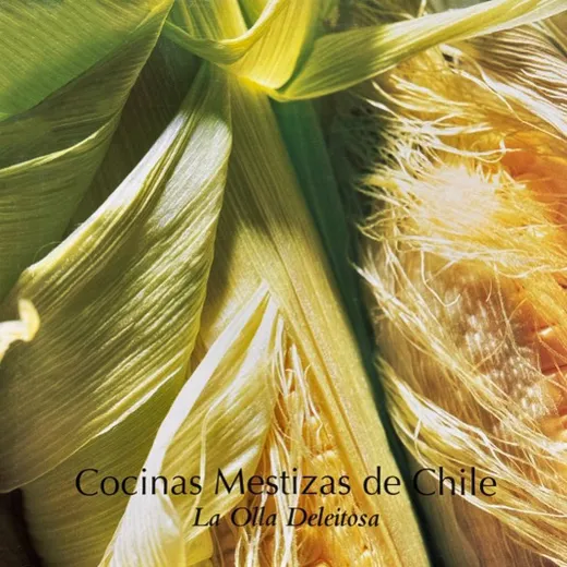 Cocinas mestizas