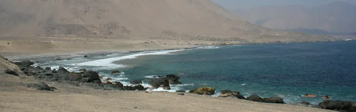 Cazadores Recolectores y Pescadores Costeros