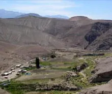 Arica