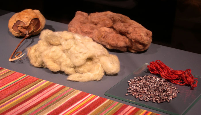 Algodón nativo de “colores” (<em>Gossipium barbadense</em>), de la costa norte de Perú