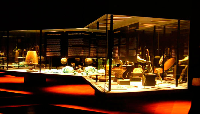 Vistas de las vitrinas de la exposición
