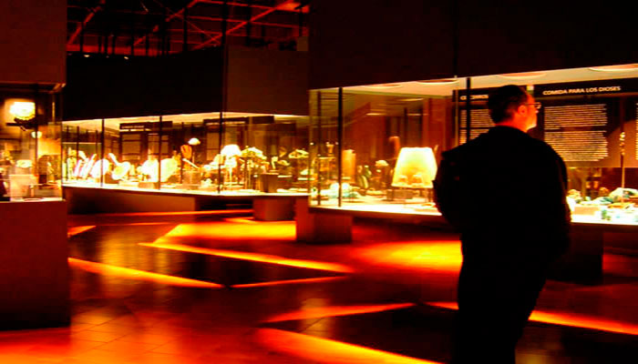 Vistas de las vitrinas de la exposición