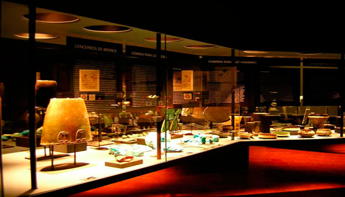 Vistas de las vitrinas de la exposición