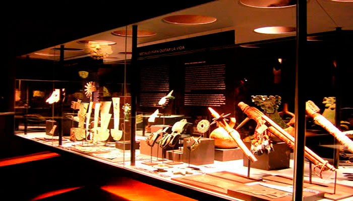 Vistas de las vitrinas de la exposición