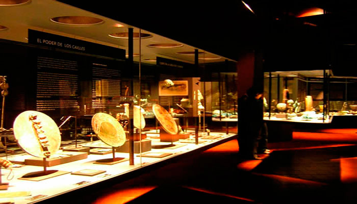 Vistas de las vitrinas de la exposición