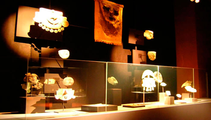 Vistas de las vitrinas de la exposición