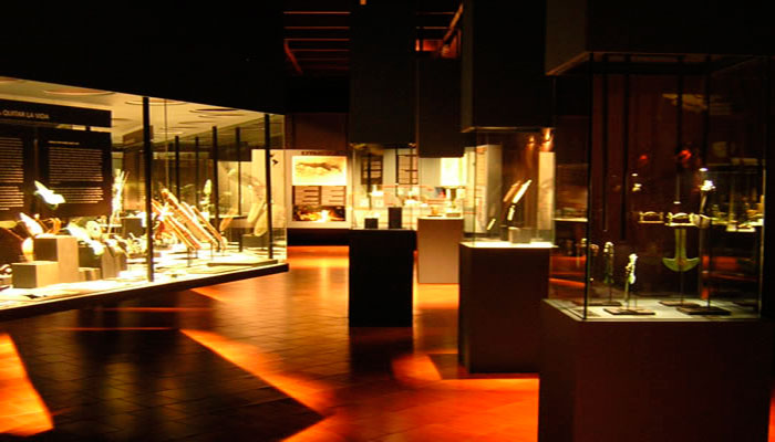 Vistas de las vitrinas de la exposición