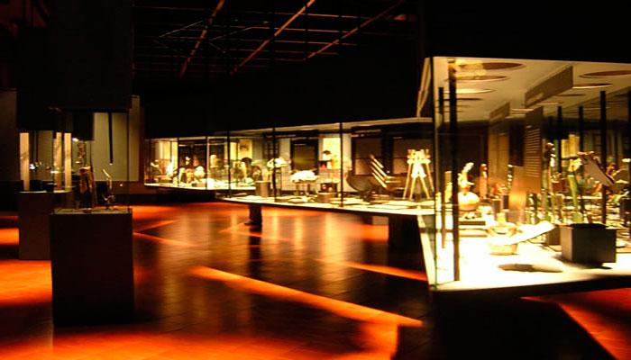 Vistas de las vitrinas de la exposición