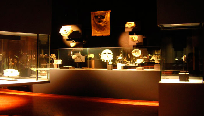 Vistas de las vitrinas de la exposición