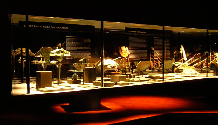 Vistas de las vitrinas de la exposición