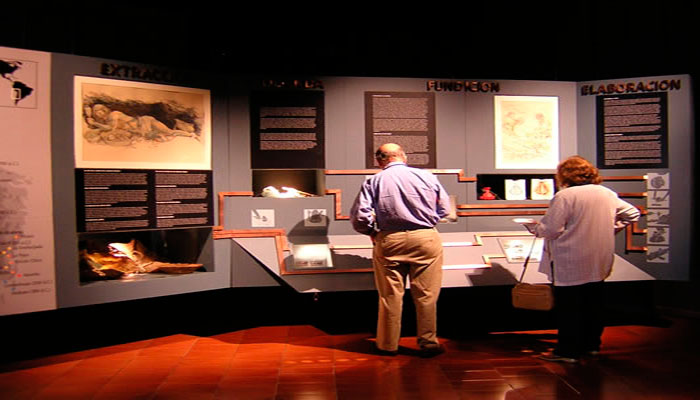 Vistas de las vitrinas de la exposición