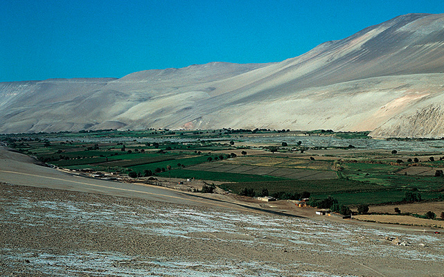 Valle de Lluta, sector de Mollepampa. Fotografía, Fernando Maldonado R.