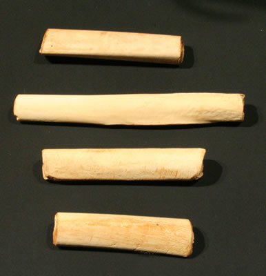 Tubos para inflar los flotadores de la balsa. Hueso de ave.Costa de Taltal,Pescadores Tardíos 1000 – 1470 d.C. Colección Museo Aug usto Capdeville.