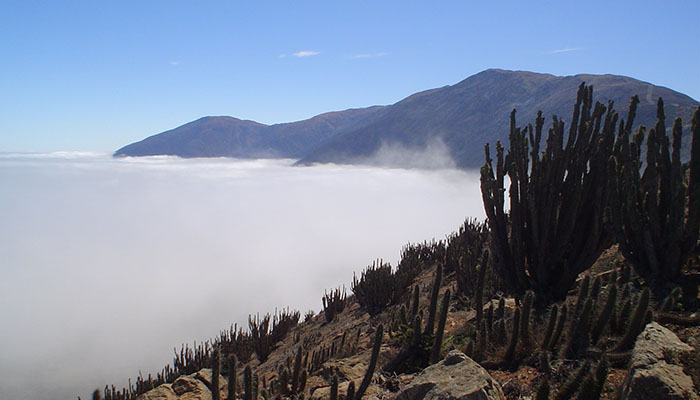 Camanchaca o niebla costera vista desde el Mirador de Paposo,al norte de Taltal {foto cortesía Corporación Amigos del Museo
