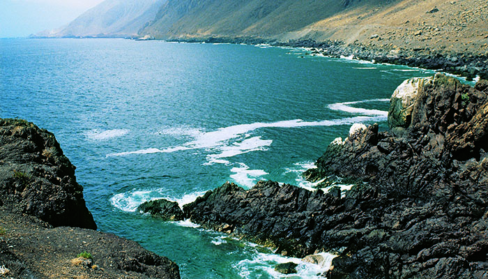 Muchas veces la ladera occidentalde la cordillera de la Costa cae casi verticalmente al mar (foto F. Maldonado) .