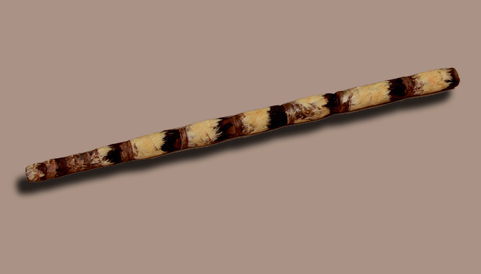 Vara o “señal de tumba”. Madera, plumas y tendón de camélido, Momia Nº 319. 60 x 3,5 cm (INC-MNAAHP, RT-3415)