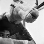 El origen del Baile del Torito viene de la época de los arrieros, cuando grandes remesas de toros llegaban desde Argentina. Dicen que después de una tormenta sobrevivió sólo un toro. El Baile del Torito lo recuerda.