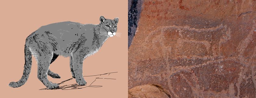 Puma.