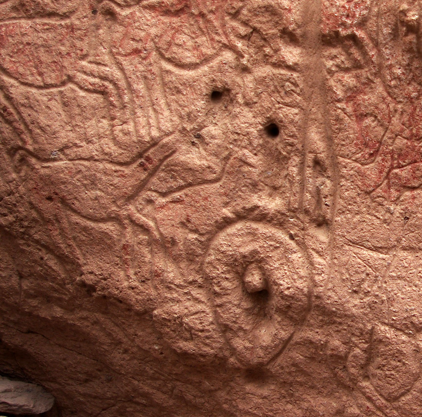 Representación de vulva de camélido y agujeros.