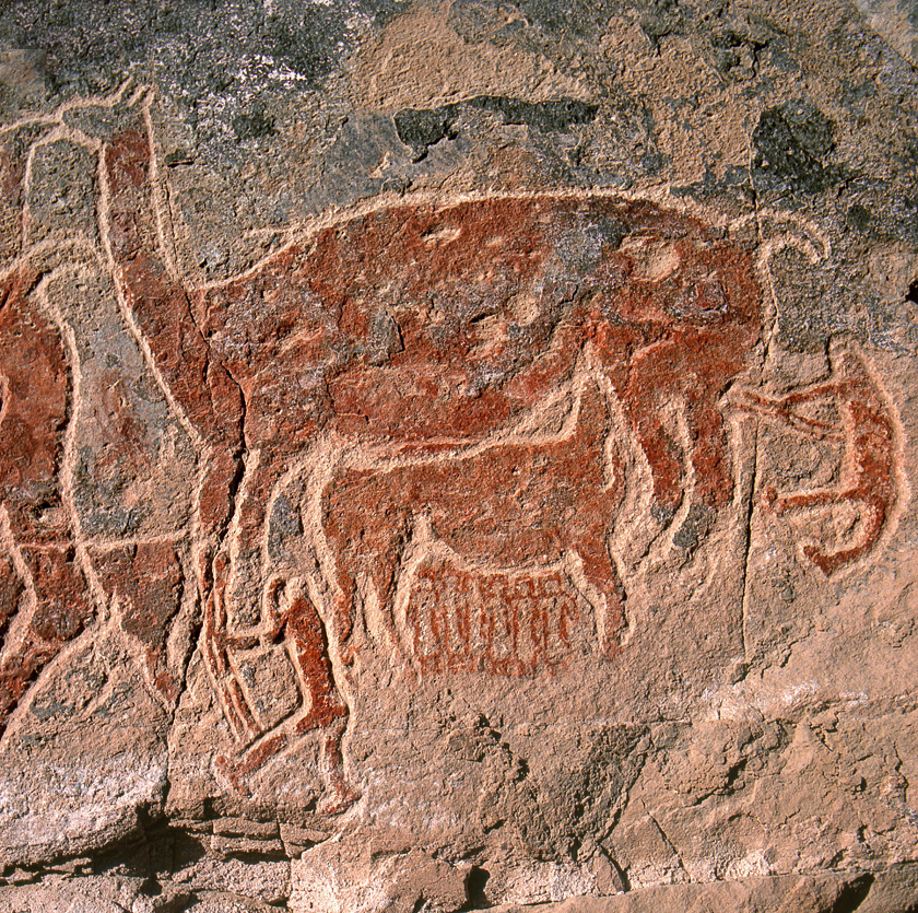 Llama amantando a su cría, Panel XI.