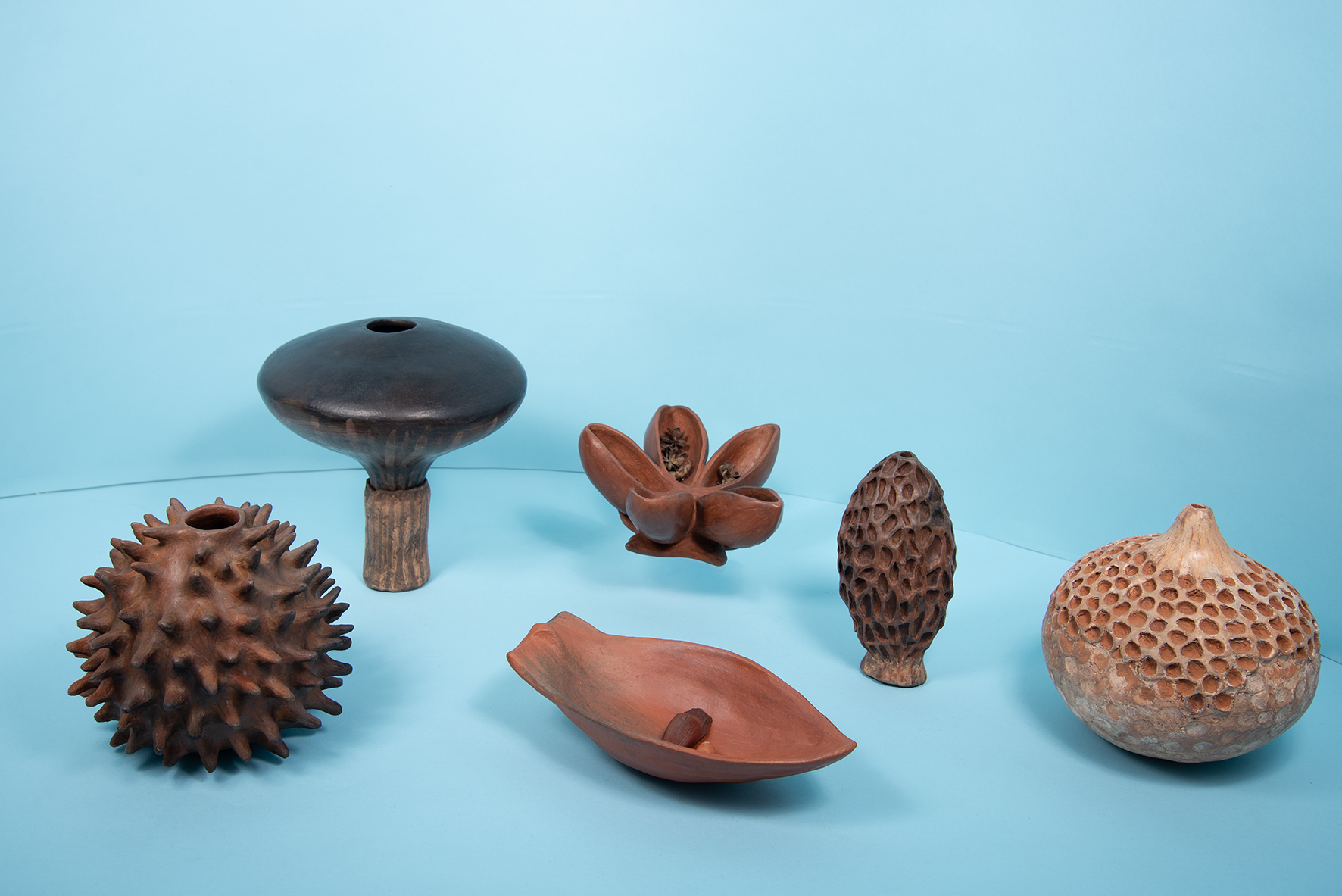 Set of seven vessels in the form of mushrooms and fruits. Ceramic. Gloria Huenchuleo | Mapuche, 2025. Photograph by Justine Graham.