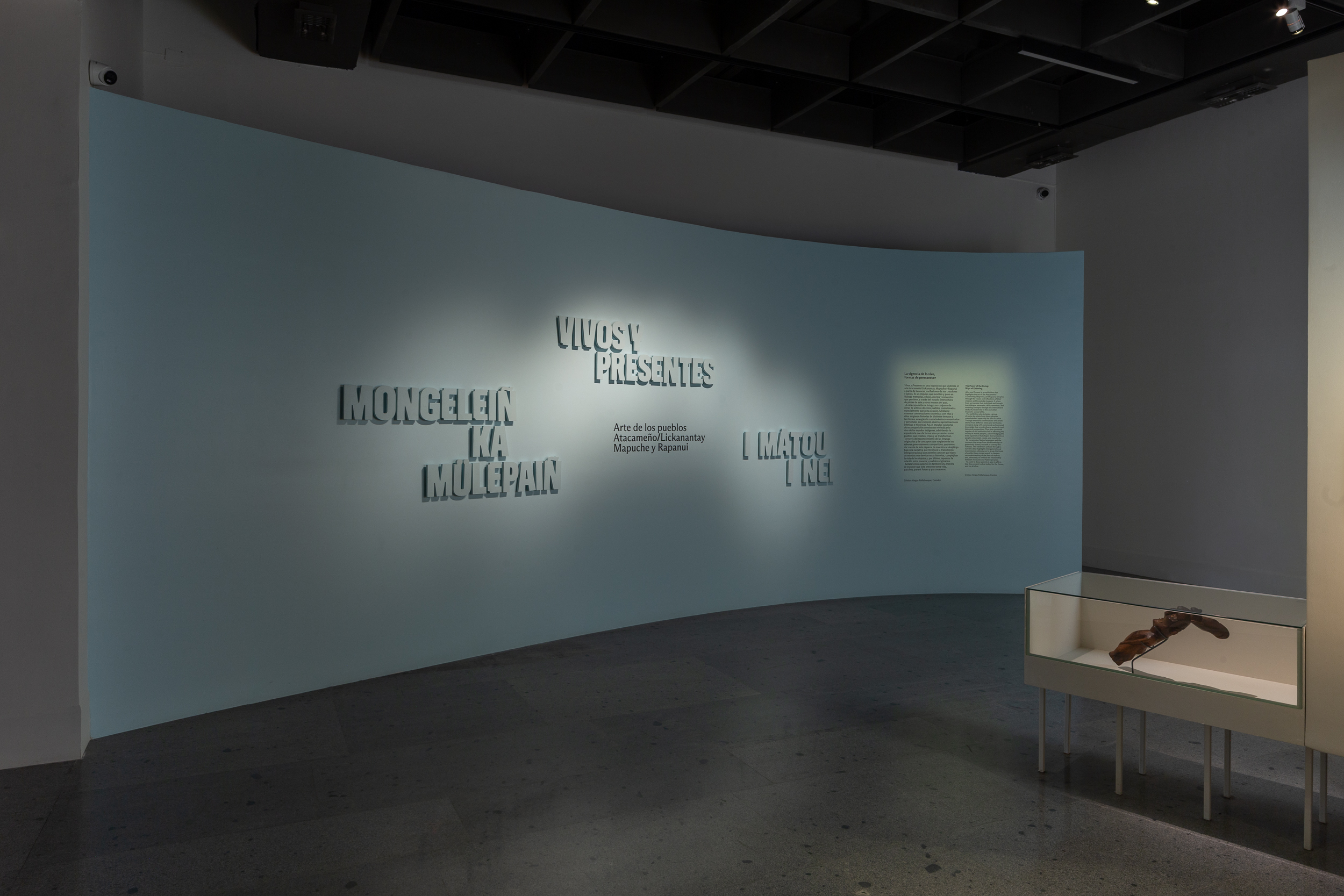 Galería de exposición 1