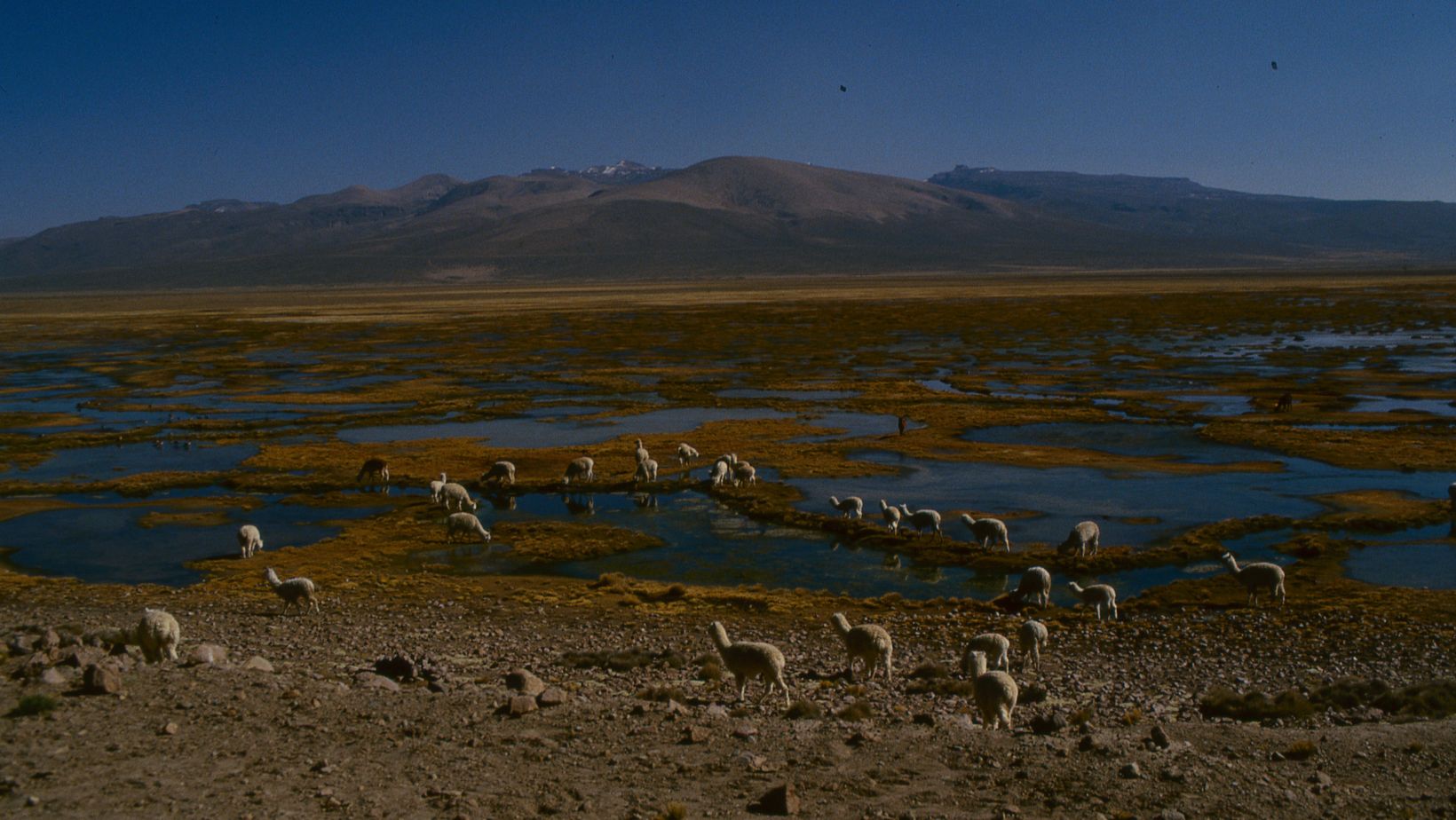 Qhapaq Ñan – Atacama