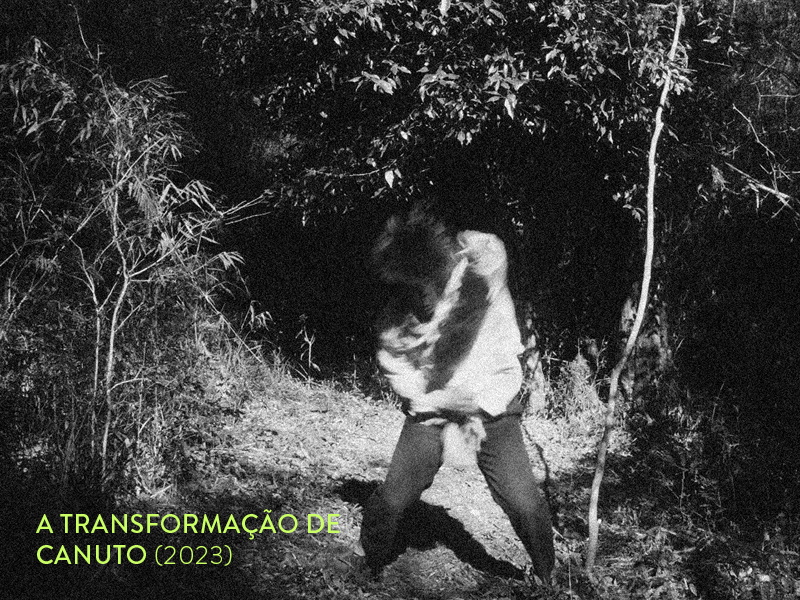 imagenes_carrusel web_mucivi_03